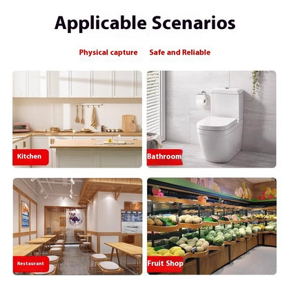 Scenarios including a kitchen, bathroom, restaurant, and fruit shop with text 'Physical capture' and 'Safe and Reliable'.