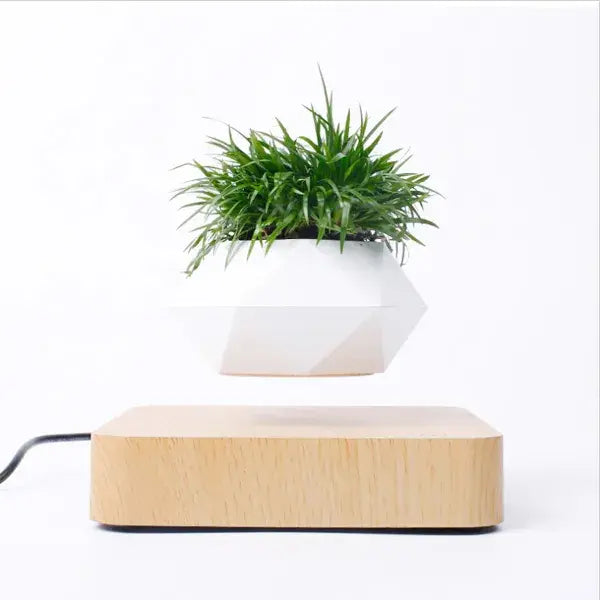 Levitating plant pot on a wooden base with a white background