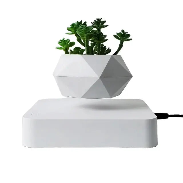 Geometric white levitating plant pot  with succulents on a white background
