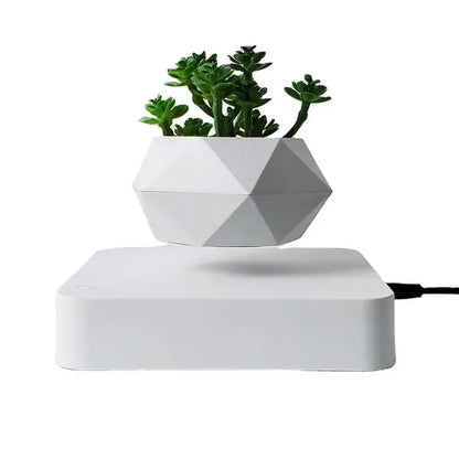 Geometric white levitating plant pot  with succulents on a white background