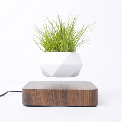 Levitating plant pot with green grass on a wooden base against a white background