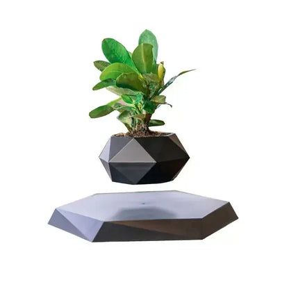 Geometric black and gray planter with a green plant on a white background