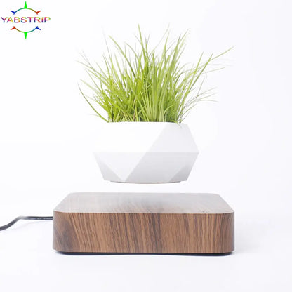 Levitating plant pot with wooden base on a white background.