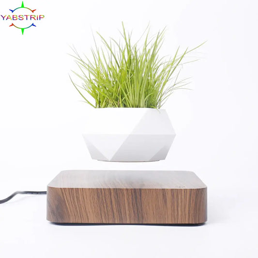 Levitating plant pot with wooden base on a white background.
